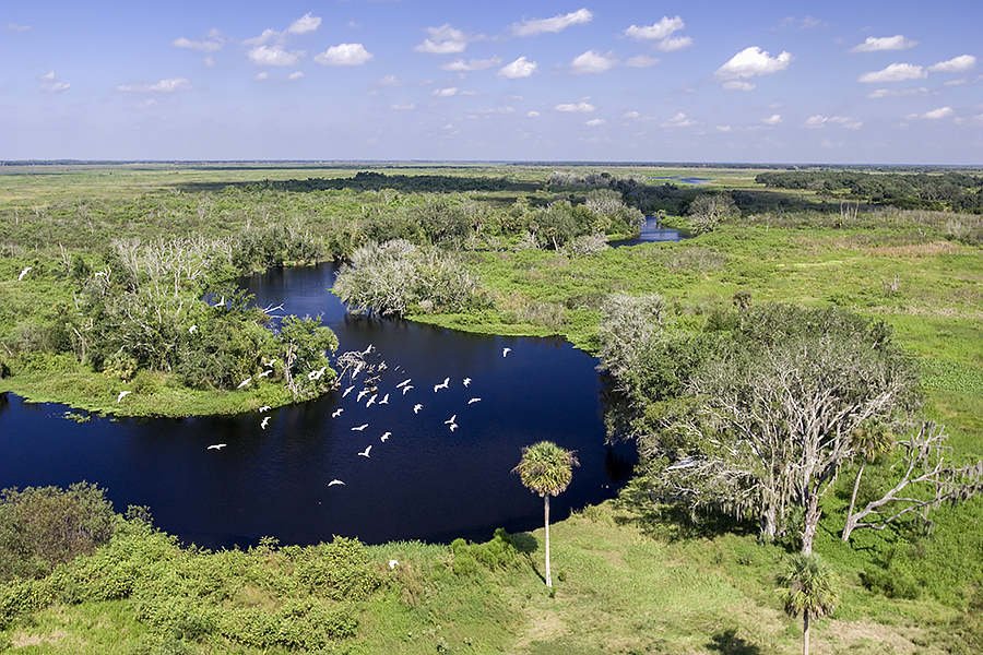Kissimmee River aerial view